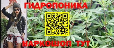 дурь Аша