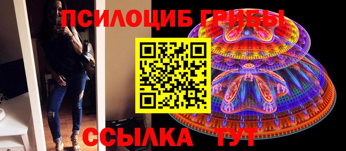 Галлюциногенные грибы Psilocybine cubensis Сегежа