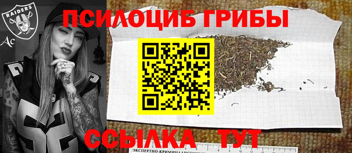 Псилоцибиновые грибы ЛСД  Галлюциногенные грибы Psilocybine cubensis  Сегежа  Вход с VPN 