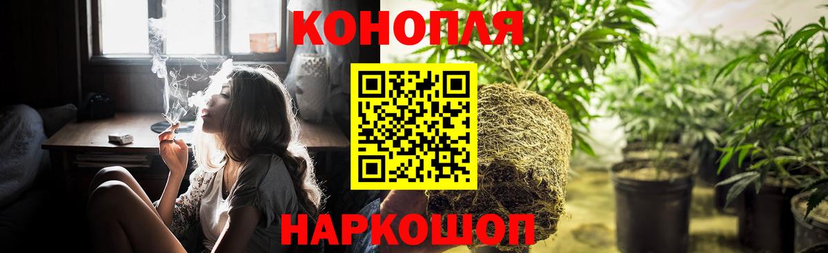 Бошки марихуана план  Шишки марихуана план  МАРИХУАНА гибрид  Вход с VPN  Бошки марихуана Bruce Banner  Сегежа 